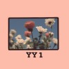 YY1